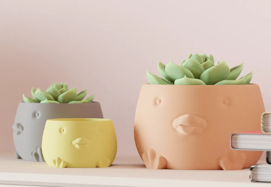Duck Planter