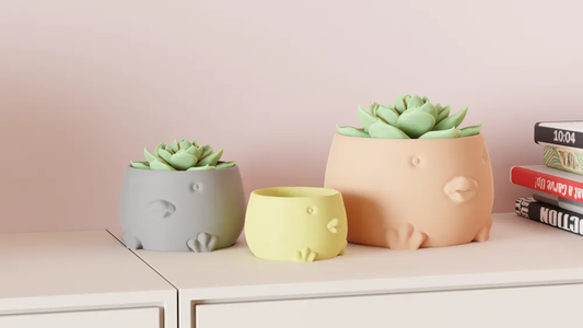Duck Planter