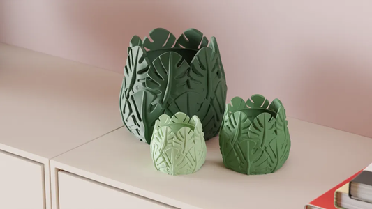 Monstera Leaf